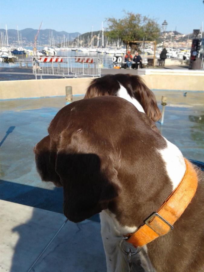 Casa A Lerici Nell'Antico Borgoヴィラ エクステリア 写真